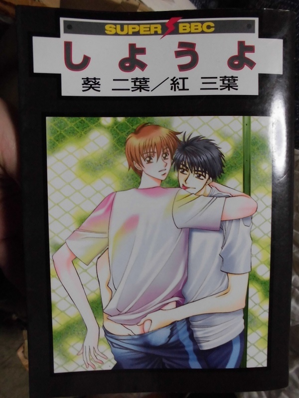 D しようよ ☆葵二葉/紅三葉☆ BE-BOYコミックス拍卖