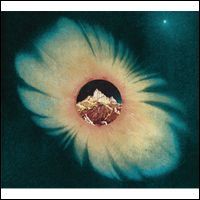 ティーン・デイズ『ア・サイレント・プラネット』拍卖