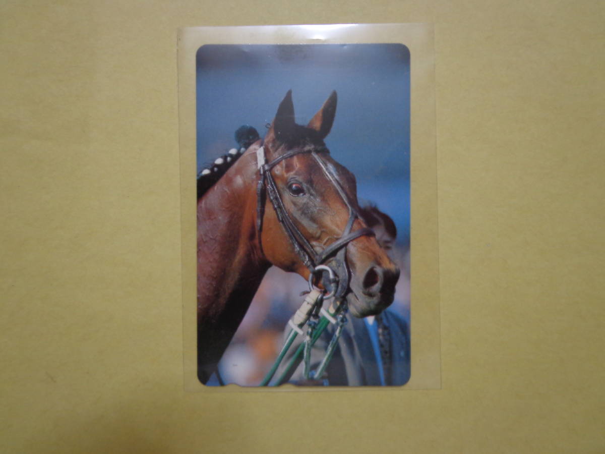 競馬 テレホンカード 競走馬 名前不明 未使用テレカ C拍卖