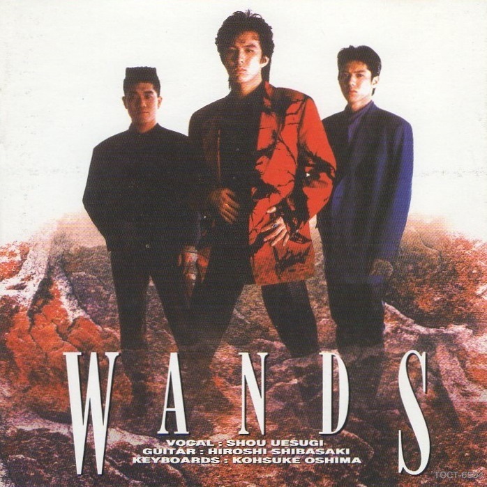 WANDS ワンズ / WANDS ワンズ / 1992.06.17 / 1stアルバム / TOCT-6504拍卖