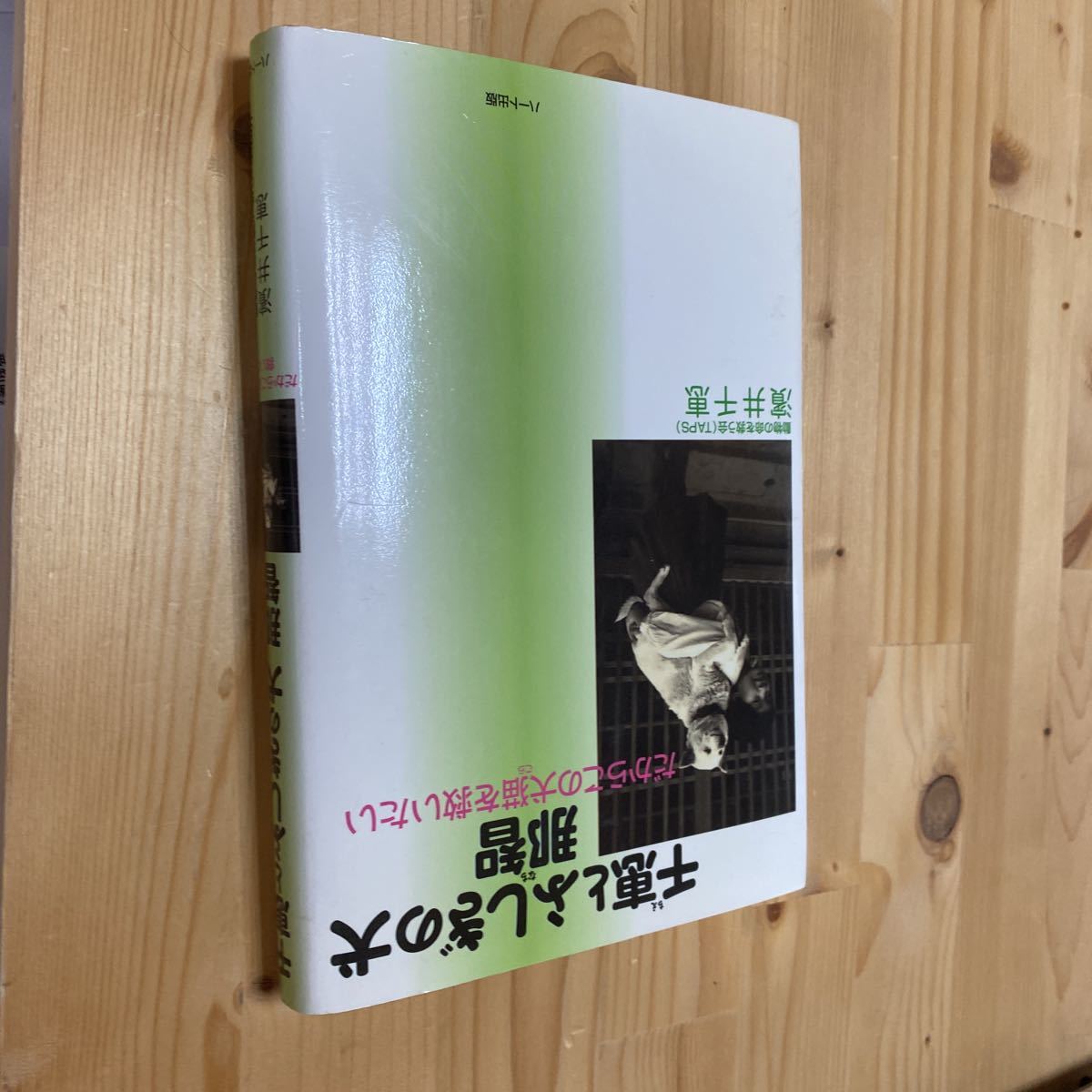 送料無料 千恵とふしぎの犬那智 だからこのこらを救いたい拍卖
