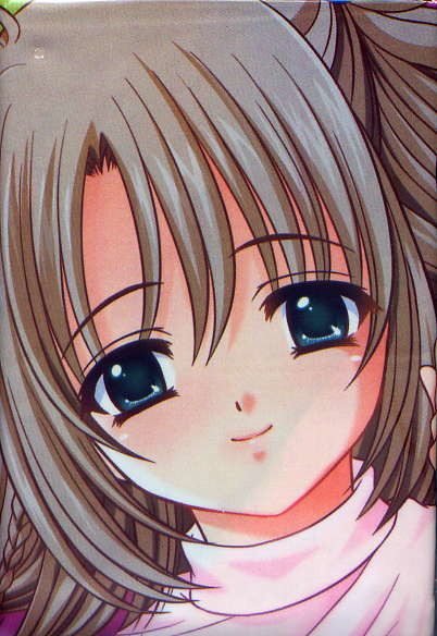 それは舞い散る桜のように 完全版/BasiL ソフマップ特典マルチカバー拍卖