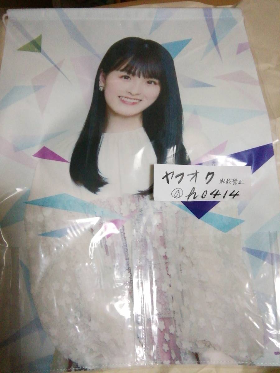 大園桃子 ウォールポケット 福袋 2021 乃木坂46 outside Japan拍卖