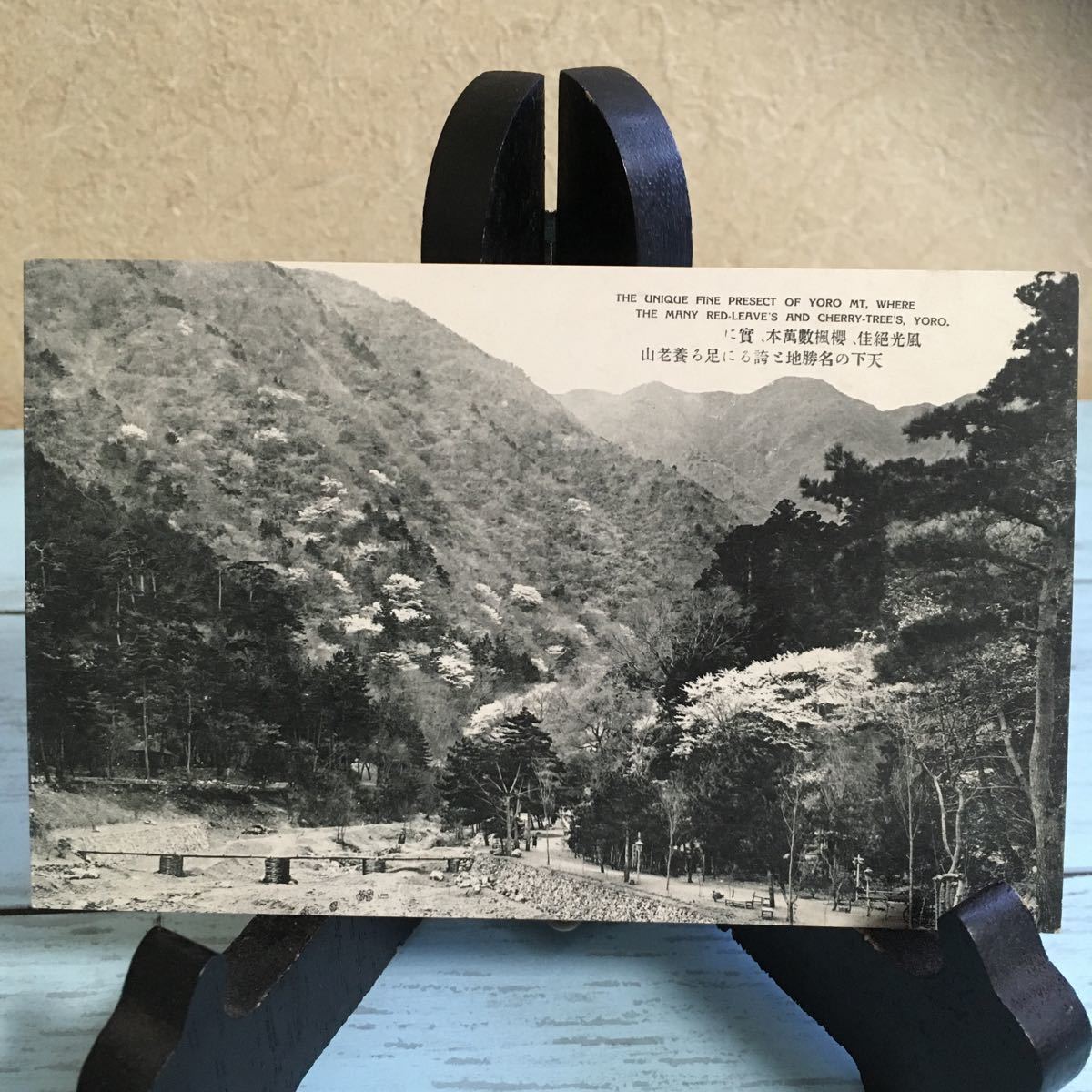 ☆絵葉書 絵はがき 古い絵葉書 古いハガキ ポストカード 養老山 風光佳、櫻楓數萬本、實に 天下の名勝地ご誇るに足りる養老山 (1330)拍卖