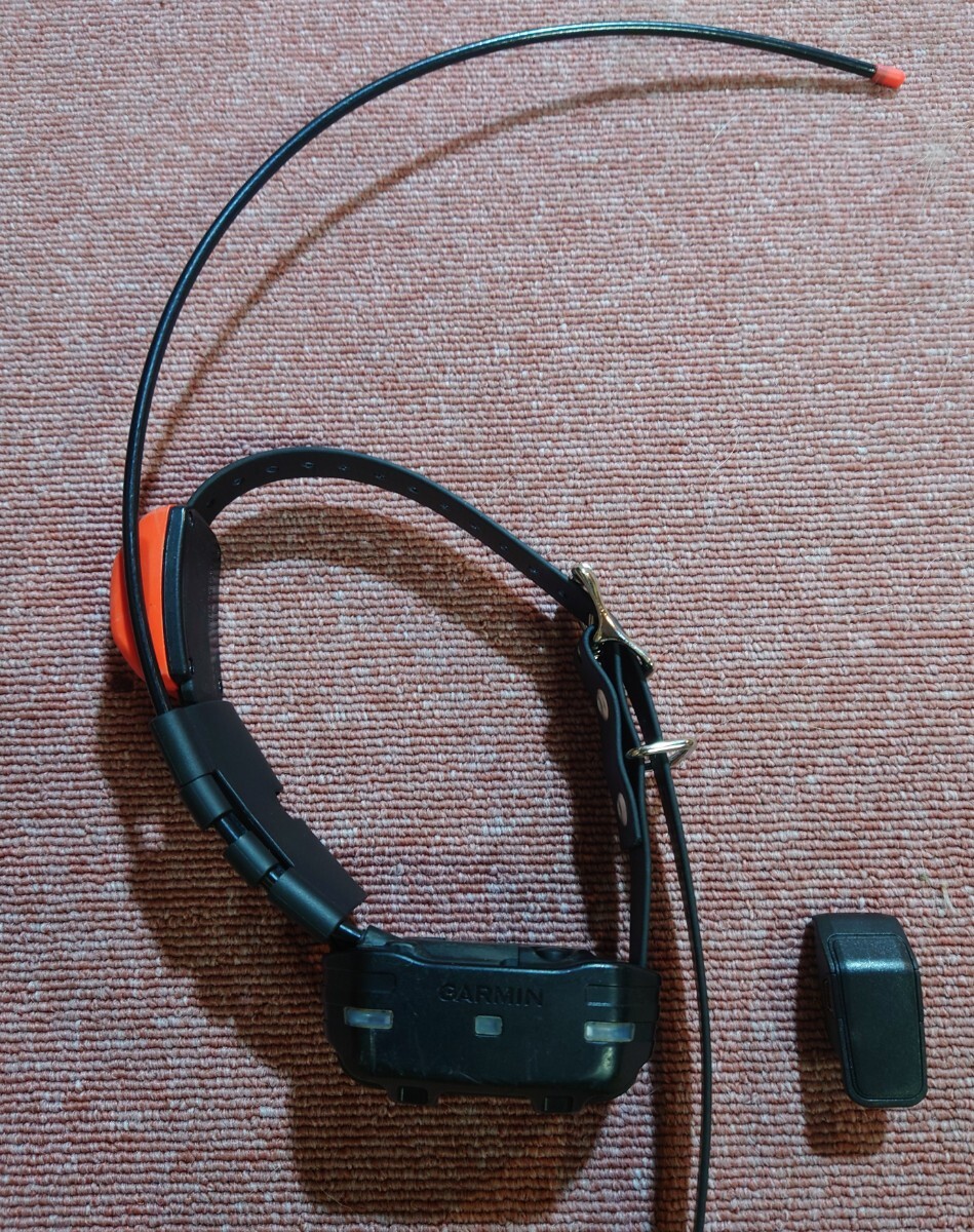 残り1台限り!動作確認、点検済み!在庫限りで終売!和犬に最適!アストロ320で確実動作!ガーミン T5mini拍卖