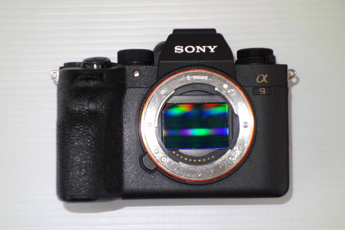 ジャンク SONY α9Ⅱボディのみ部品取り・オブジェ拍卖