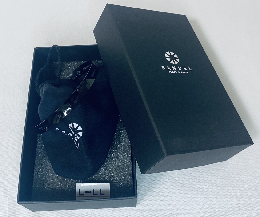 バンデル チタニウム ブレスレット SIZE:L / LL 全長:14.9cm USED 中古拍卖