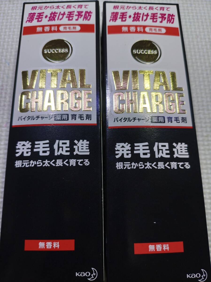 ☆1円スタート☆【花王】サクセス バイタルチャージ薬用育毛剤 200ml ×2個セット 拍卖