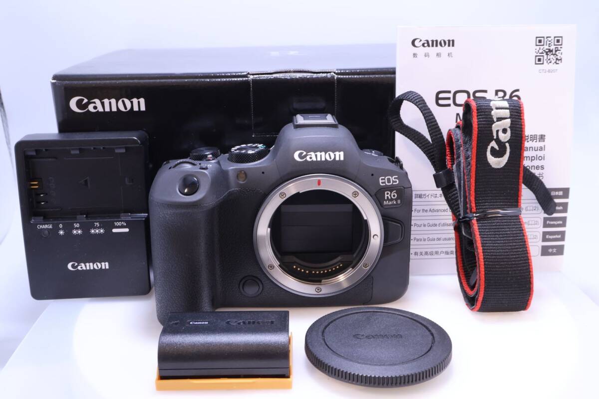 【4,000回以下 極美品】Canon EOS R6 Mark II ボディー EOSR6MK2 ミラーレスカメラ拍卖