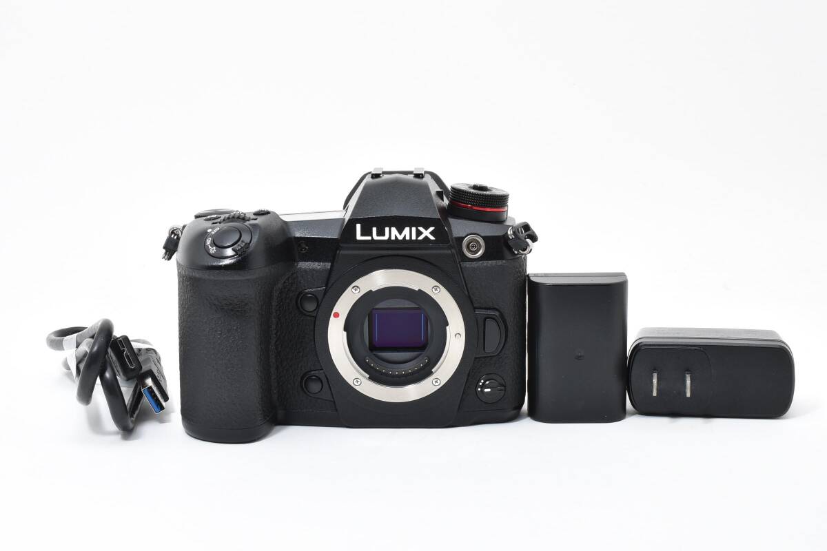20034ショット!! 良品 Panasonic DC-G9-K バッテリーチャージャーセット 概要欄必読 く09拍卖