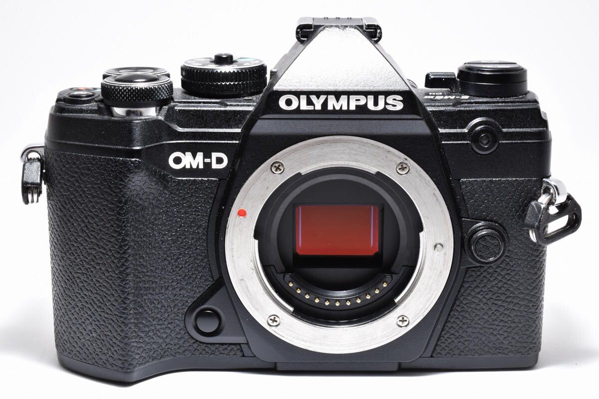 OLYMPUS OM-D E-M5 Mark III ブラック オリンパス ボディ拍卖