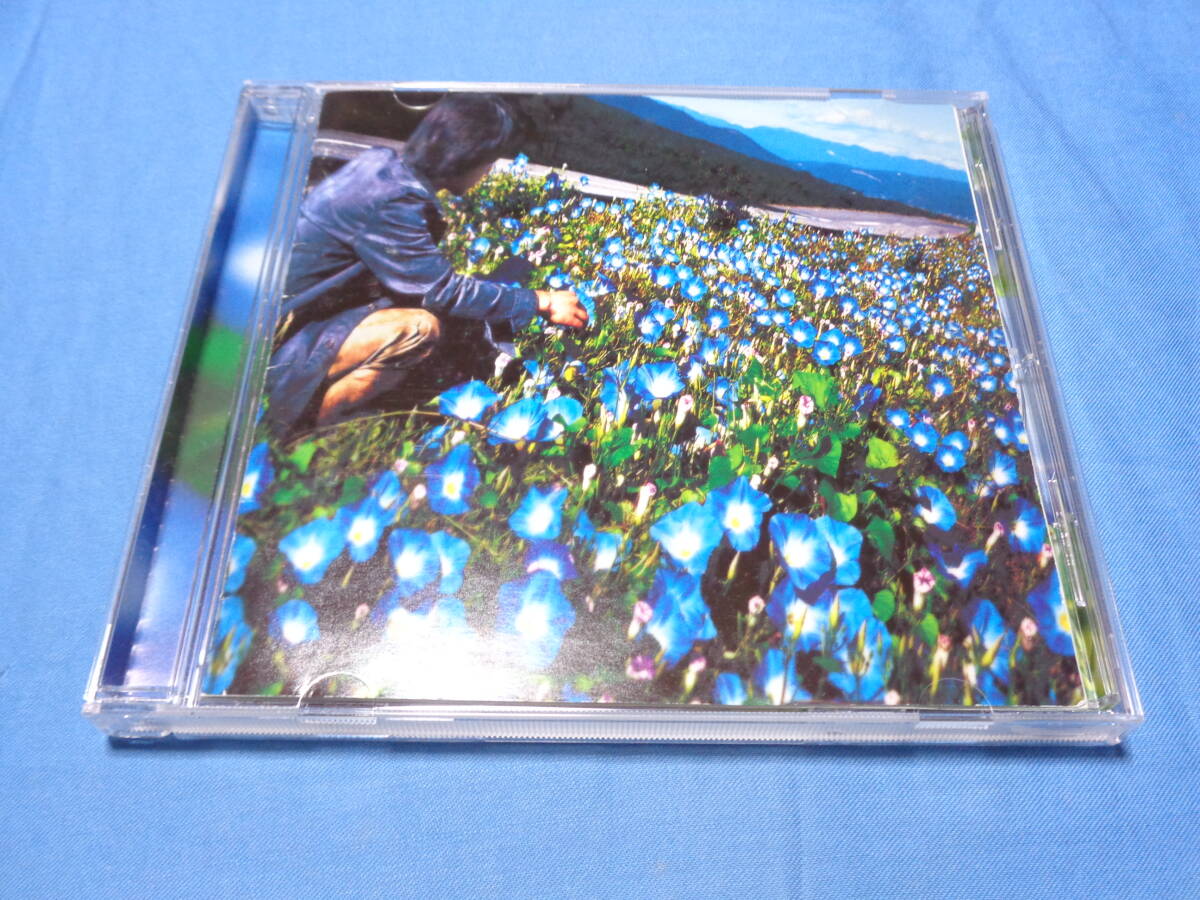 レミオロメン 朝顔 CD / まめ電球・雨上がり・日めくりカレンダー・等11曲 収録拍卖