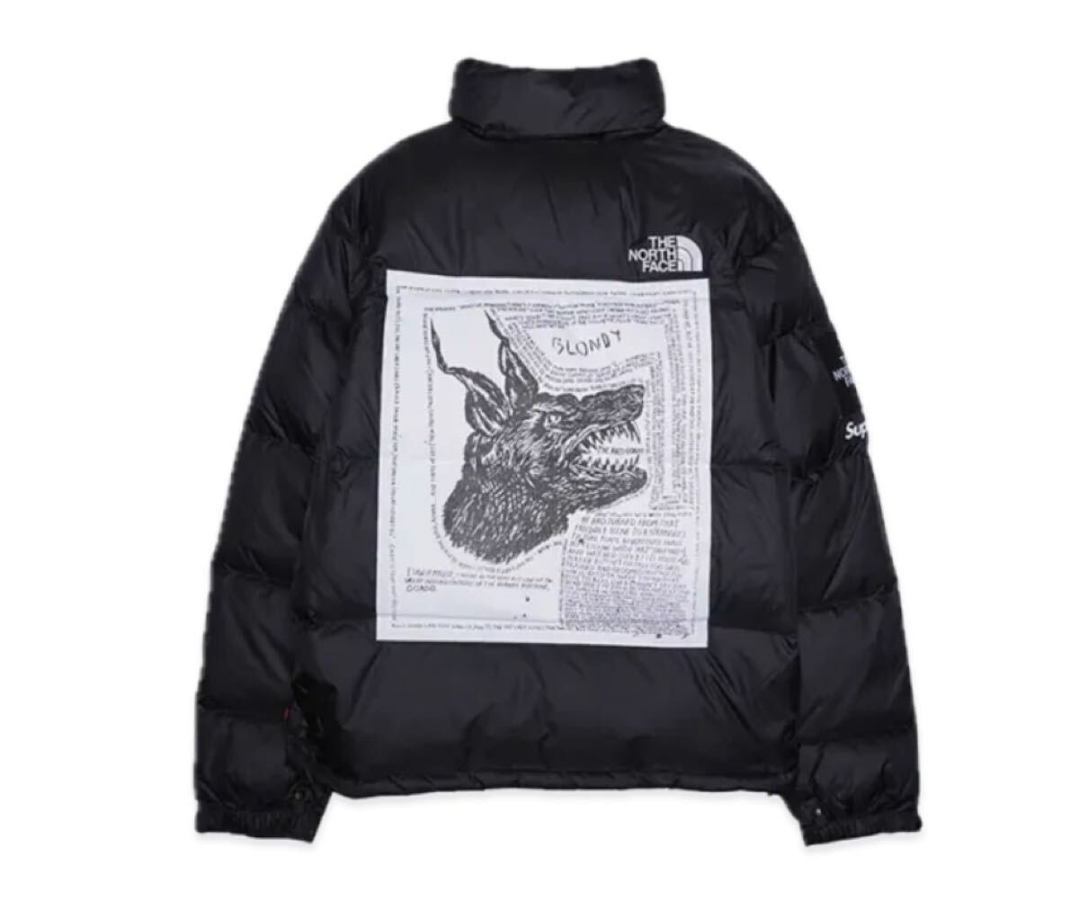 Supreme x The North Face Nuptse Jacket Black シュプリームノースフェイスヌプシ 新品拍卖