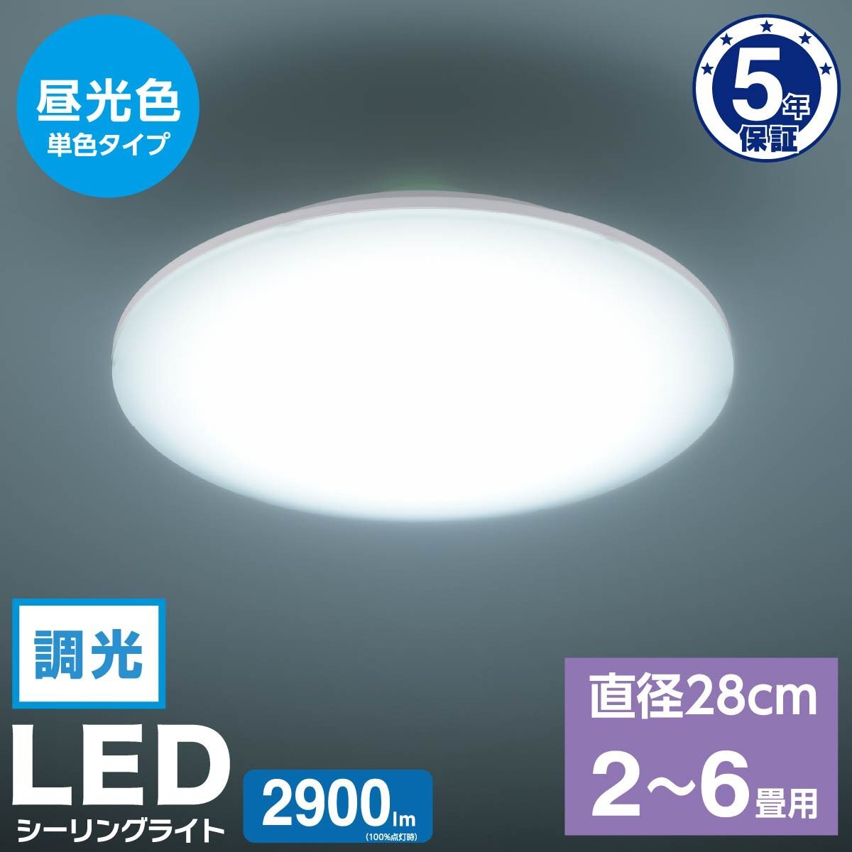 LEDシーリングライト 小型 2~6畳用 昼光色 調光|LE-Y26GS-WD 06-5054 オーム電機拍卖