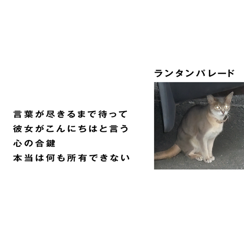 【SALE セール】LANTERN PARADE / 言葉が尽きるまで待って (7)拍卖