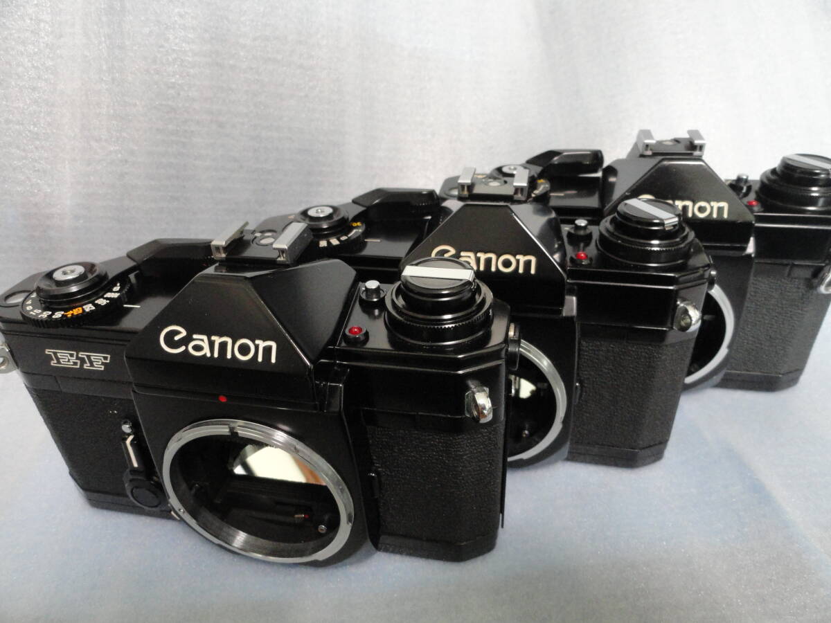 ★★Canon 「EF」ジャンク ★キヤノン「EF」★★拍卖