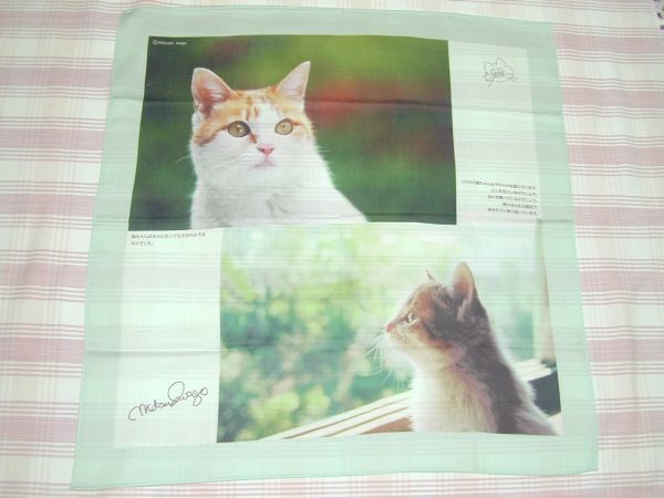 岩合光昭のねこハンカチ/新品/送料込拍卖