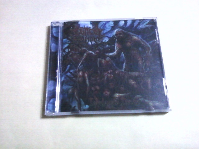 送料込 Critical Sodom ‐ Indulgence Decay 拍卖