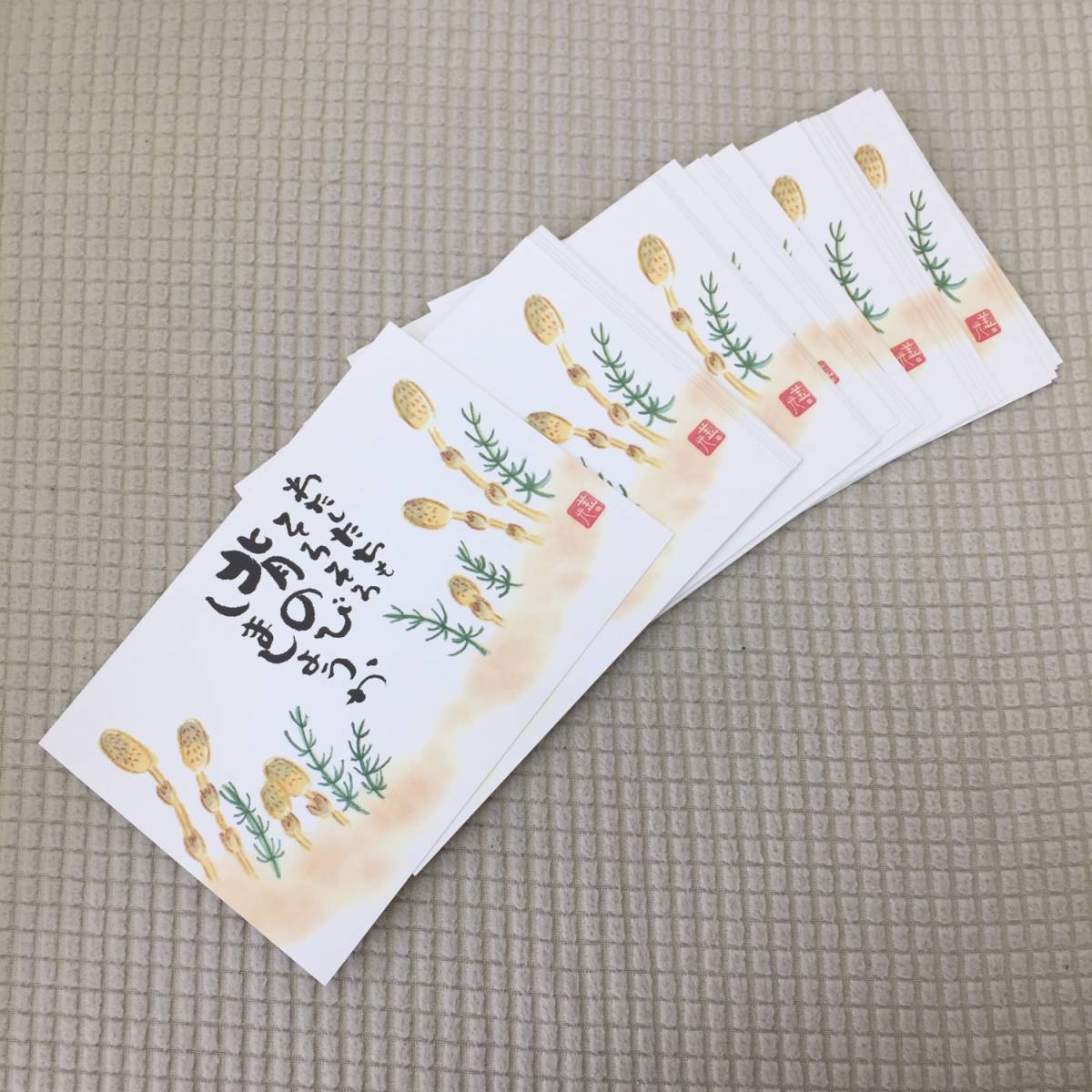 絵葉書 24枚セット つくしとスギナ 郵便はがき 絵はがき 名言 心に響く言葉拍卖