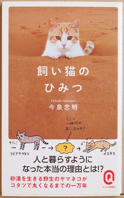 ★送料無料★ 『飼い猫のひみつ』 砂漠を生きる野生ネコがコタツで丸まるネコになるまでの謎を解く 今泉忠明 新書 ★同梱OK★拍卖