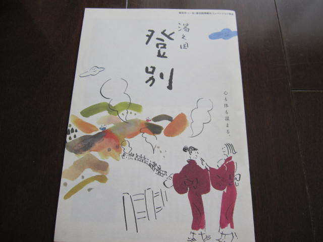 新品・非売本 北海道マップ 登別 登別温泉 オールカラー 旅行ガイド 数量限定本拍卖