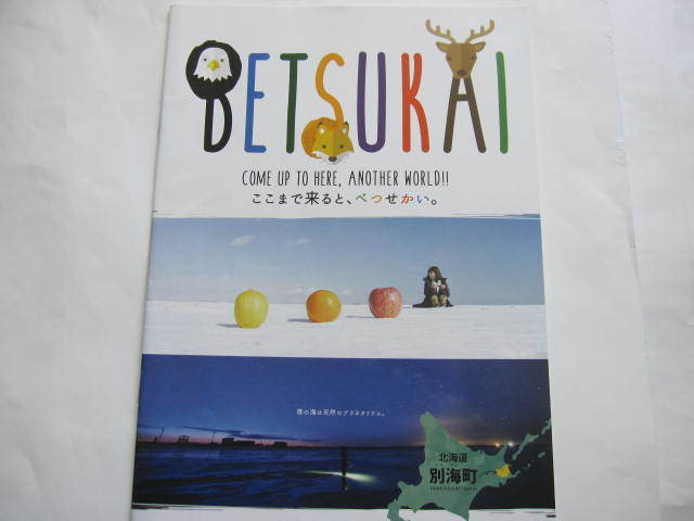 新品・非売本 北海道 根室半島 別海町 オールカラー 公式旅行ガイド 2020~2021 数量限定本拍卖