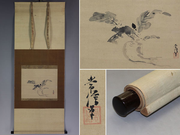 【真作】狩野常信【大根】◆紙本◆合箱◆掛軸 v02123拍卖