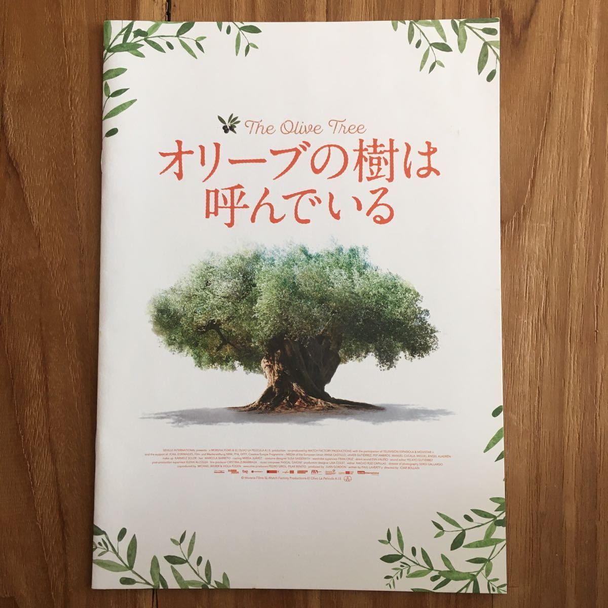 『オリーブの木は呼んでいる』プレスシート アンナ・カスティーリョ ハビエル・グディエレス ペップ・アンブロス拍卖