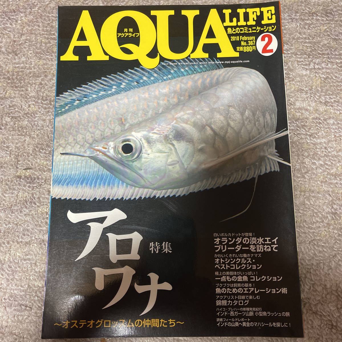古本/AQUA LIFE 367 アロワナ特集拍卖