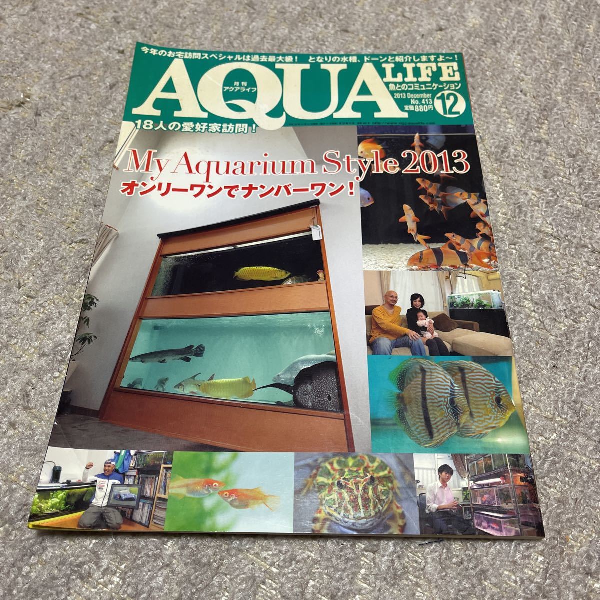 古本/AQUA LIFE 413 オンリーワンでナンバーワン!拍卖