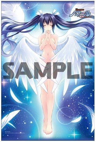 超女神信仰 ノワール 激神ブラックハート ソフマップ特典 B2タペストリー /未開封拍卖