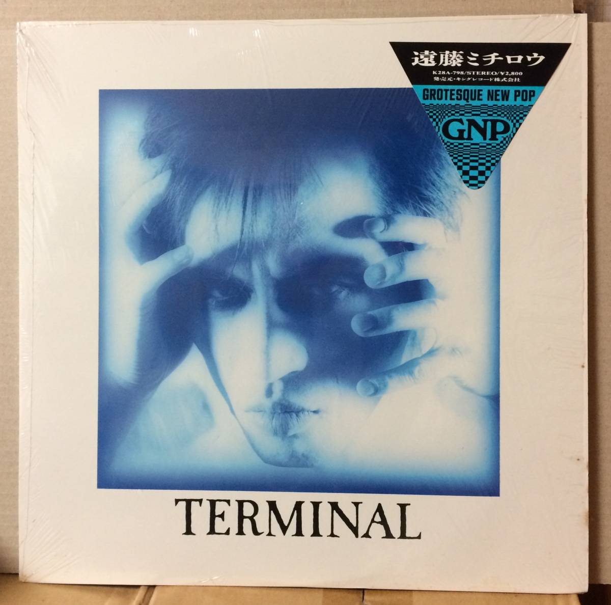 盤良好 遠藤ミチロウ Terminal LP ステッカー帯、シュリンク付 EDPS スターリン 名作拍卖
