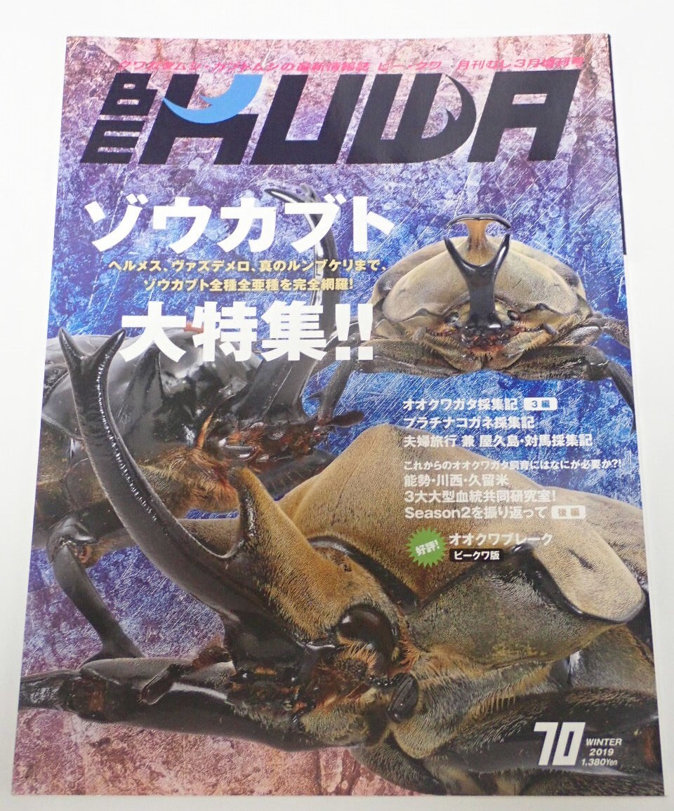 BE KUWA ビークワ No.70■ゾウカブト大特集|全種全亜種を完全網羅/屋久島・対馬採集記/コスタリカ探訪記/オオクワガタ採集記拍卖