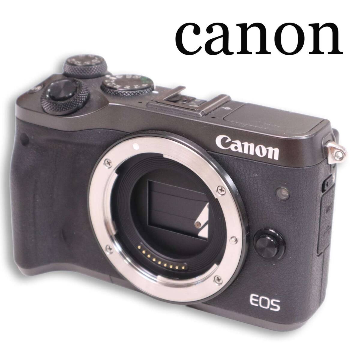 Canon キヤノン EOS M6 ミラーレス一眼 デジタルカメラ ボディ Sz.F拍卖