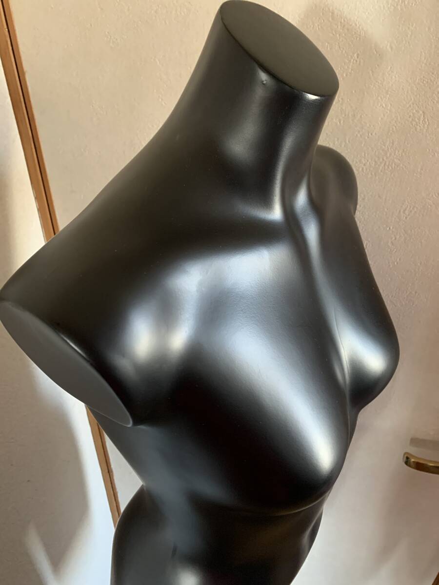 トルソー C / マネキン ディスプレイ拍卖