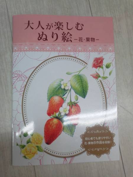 ★ワンコイン 送料無料 すぐ発送! 塗り絵 ぬりえ 【大人のぬり絵 花・果物 フラワー フルーツ ミシン目入り】脳トレ 認知症予防 初心者に!拍卖