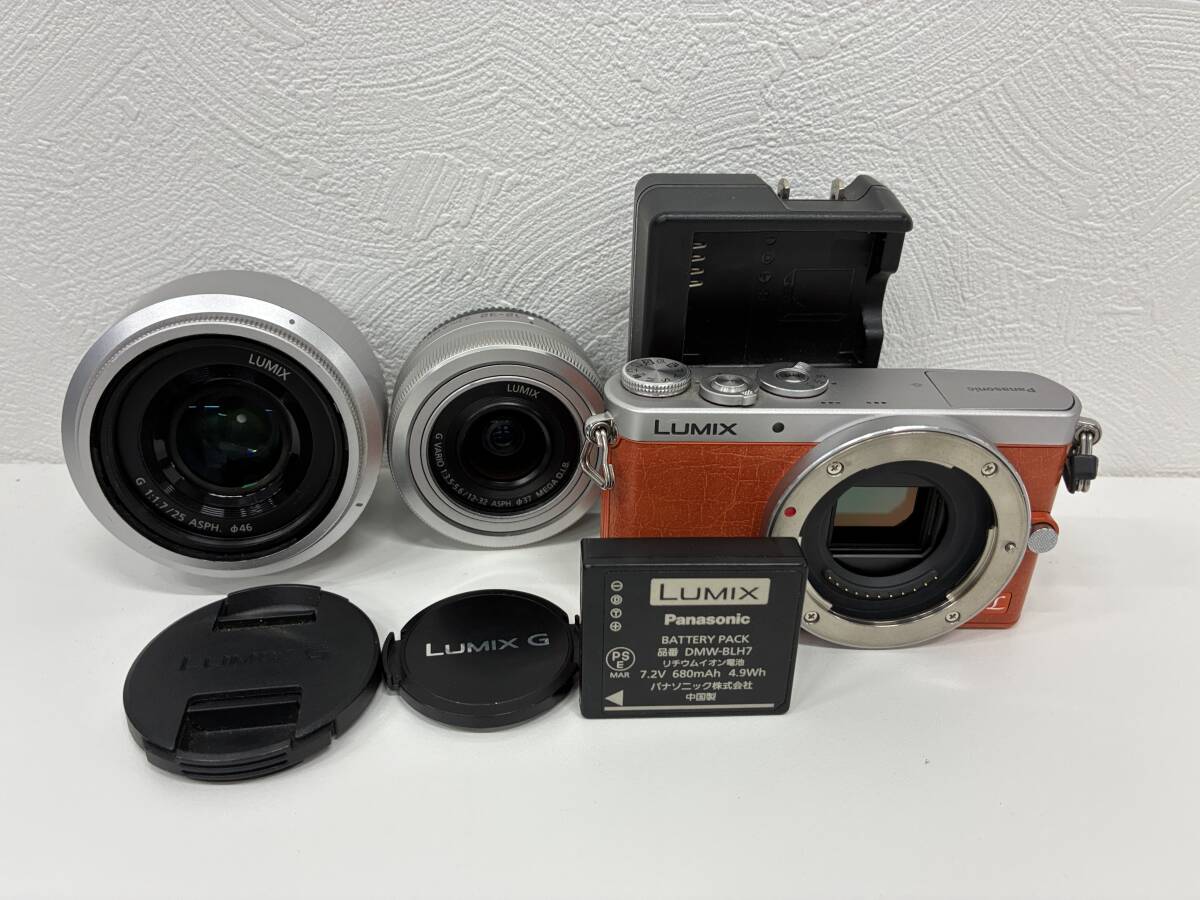 2148★Panasonic LUMIX DMC-GM1 ミラーレス一眼 1:3.5-5.6/12-32 1:1.7/25 レンズキット バッテリー カメラ ルミックス 美品 中古 通電確認拍卖