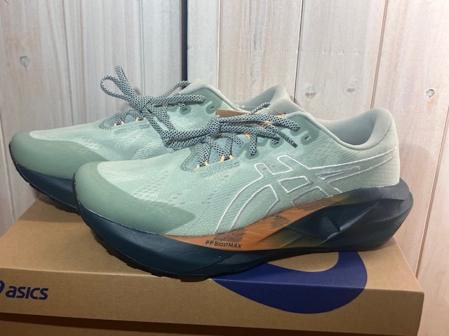 送料込み 新品 asics アシックス 27.5cm NOVABLAST 5 TR 1011C138-300 ノヴァブラスト 5 TR マラソン ランニング ランシュー 送料無料拍卖