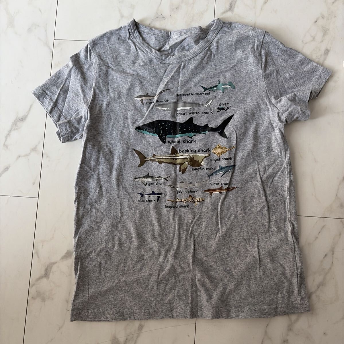 即決★半袖Tシャツ★サイズ150★サメイラスト★グレー★シャーク★ジンベイザメ★トップス★拍卖