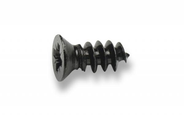 Voile binding mounting screw 3/4もしく5/8 ボレー ビンディング用 取り付けビス拍卖
