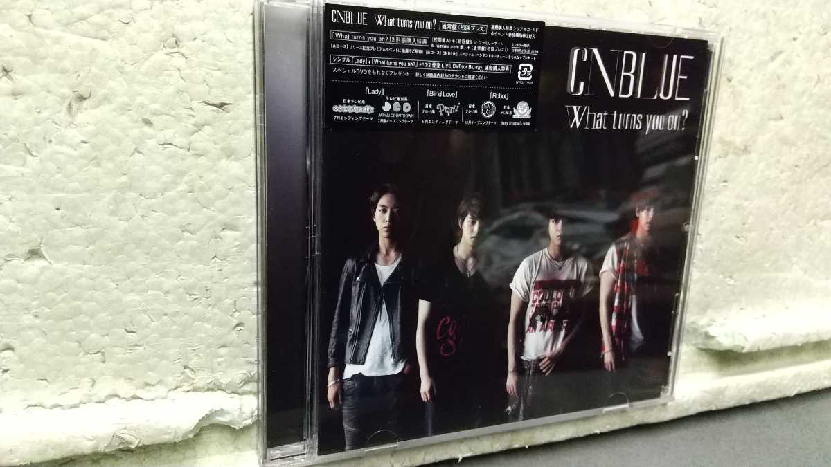 CNBLUE What turns you on?拍卖