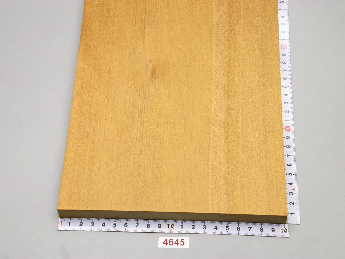 4645・アガチスの板・564㎜×200㎜×16.2㎜=1枚 拍卖