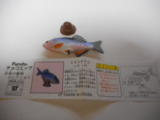 チョコエッグ 日本の動物☆第3弾☆ミヤコタナゴ☆67拍卖