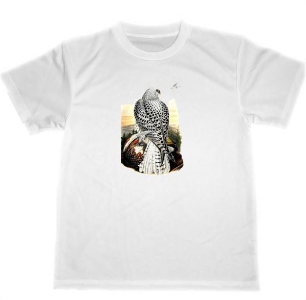 猛禽類 ドライ Tシャツ 鷹 鷲 隼 アニマル 野鳥 グッズ アート イラスト ワシ タカ ハヤブサ拍卖
