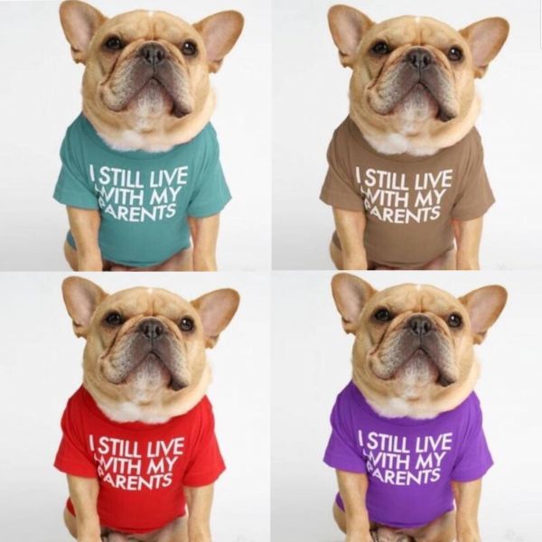 ★ドッグウェア Tシャツ☆サイズL☆ かわいいペット服 送料無料 新品 犬服 カラフル おしゃれ インスタ 春夏☆拍卖