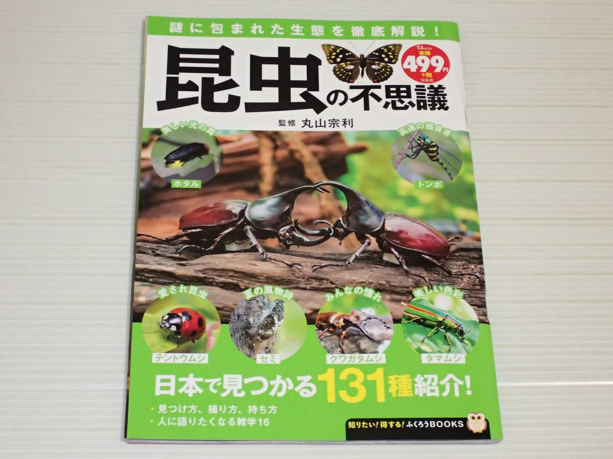 昆虫の不思議 謎に包まれた生態を徹底解説 カブトムシ/クワガタムシ/タマムシ/ハンミョウ/テントウムシ/カミキリムシ/トンボ/カマキリ拍卖