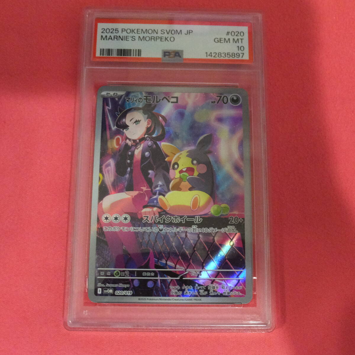 PSA10 マリィのモルペコ AR仕様 2025 MARNIE’S MORPEKO拍卖