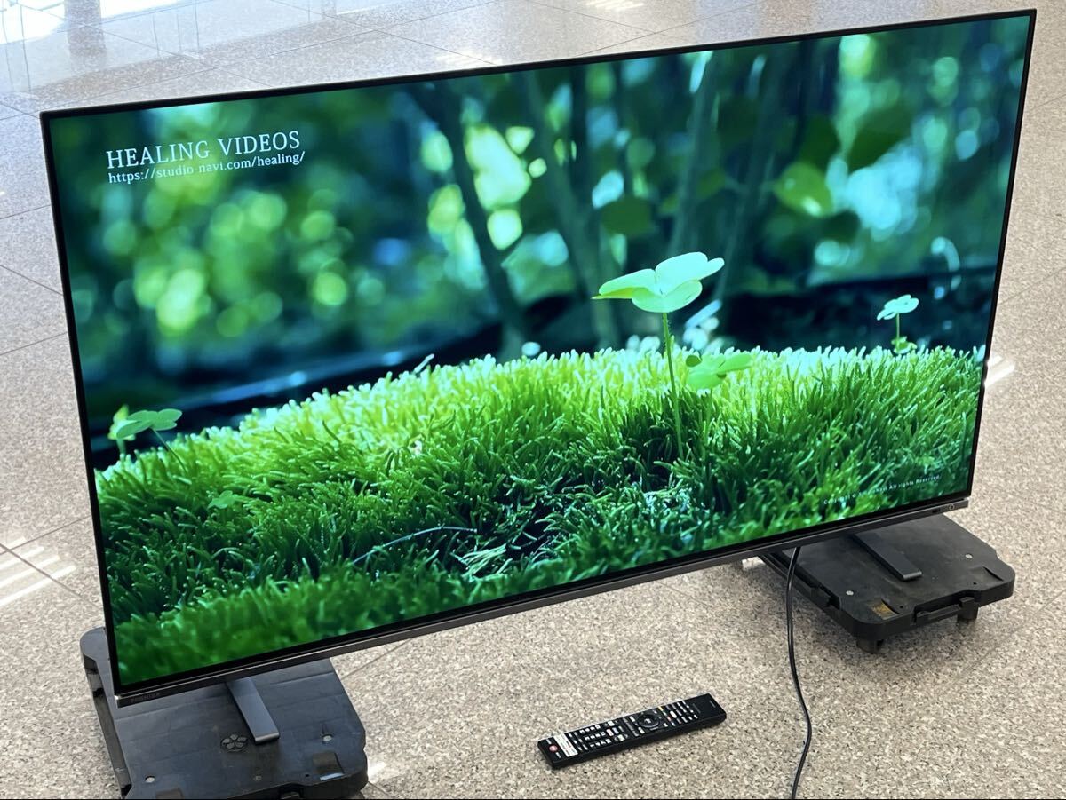 ★直接引取り限定 美品 動作確認済み TOSHIBA 東芝 レグザ 55X8900K 有機ELテレビ 55型 2022年製 リモコン付 TV 中古品 管理P65拍卖