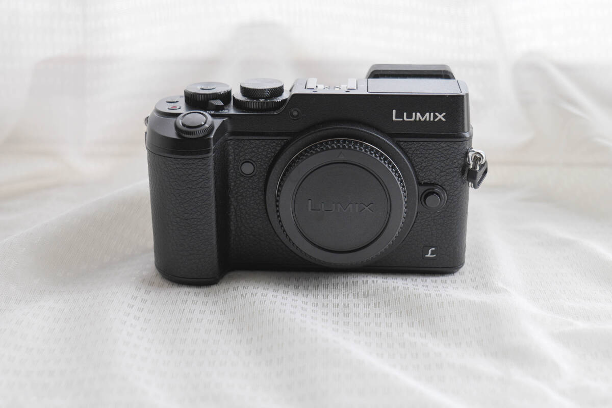 Lumix DMC-GX8ボディにキャップと充電器、バッテリー5個、SDカード32GBのセットです。拍卖