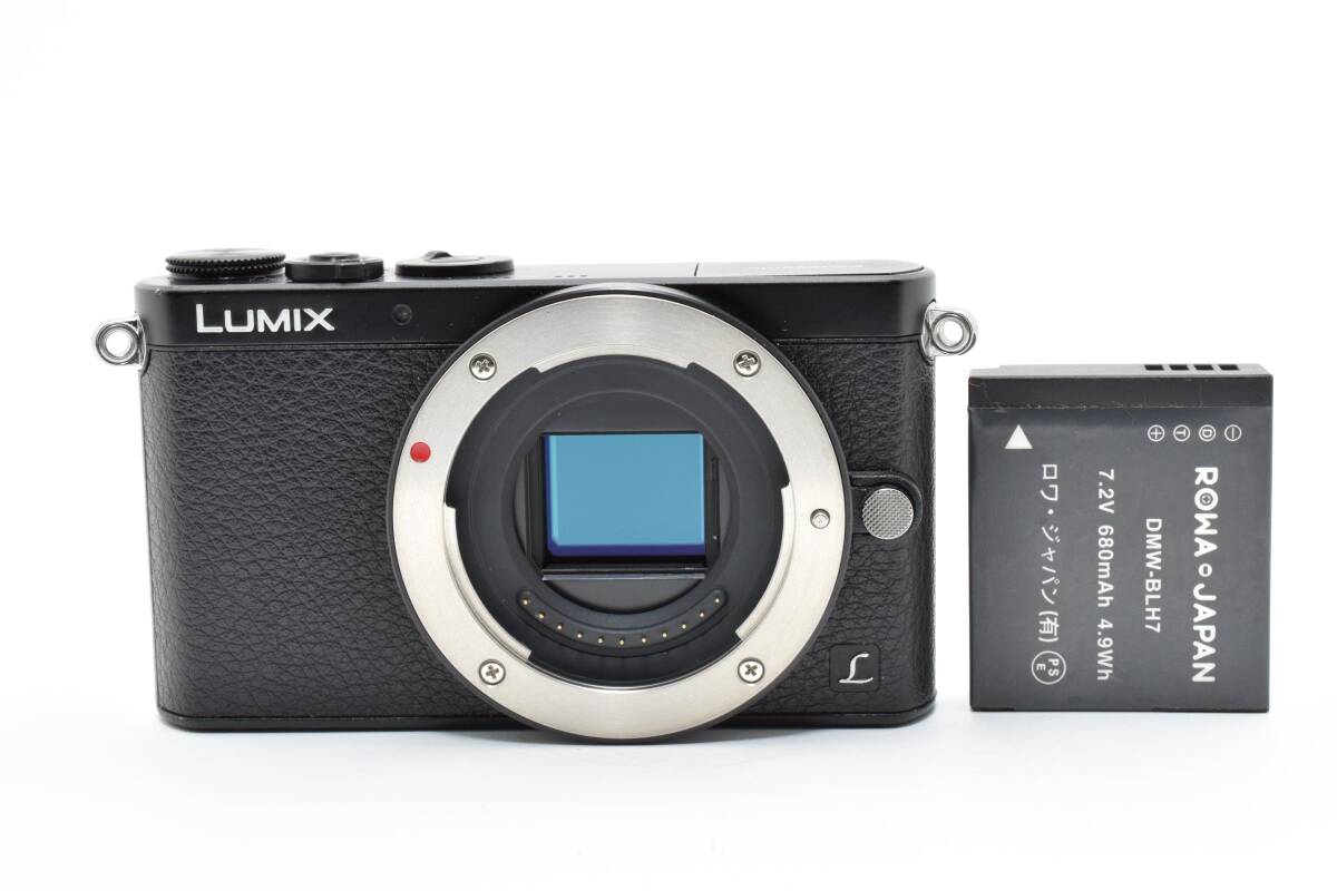 ★外観極上品★パナソニック Panasonic DMC-GM1 ボディ #2604295拍卖